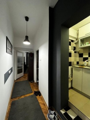 Apartment in Vračar